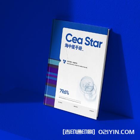 商業(yè)研發(fā)手冊設(shè)計印刷  第2張