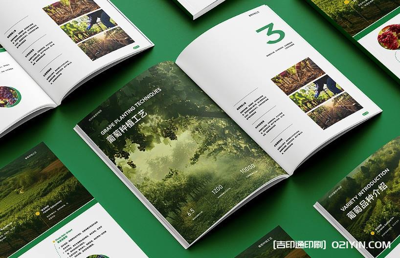 上海企業(yè)畫冊(cè)印刷專家：從設(shè)計(jì)到成品，一站式品質(zhì)服務(wù)