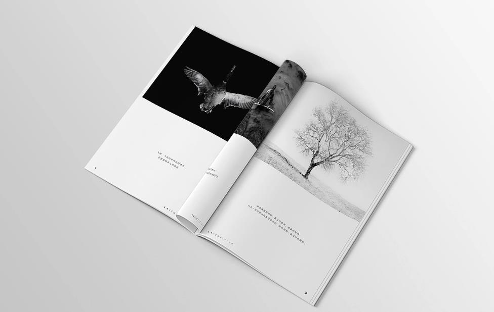 細(xì)節(jié)決定成?。荷虾Ｐ弯洰媰?cè)印刷中不容忽視的裝訂工藝